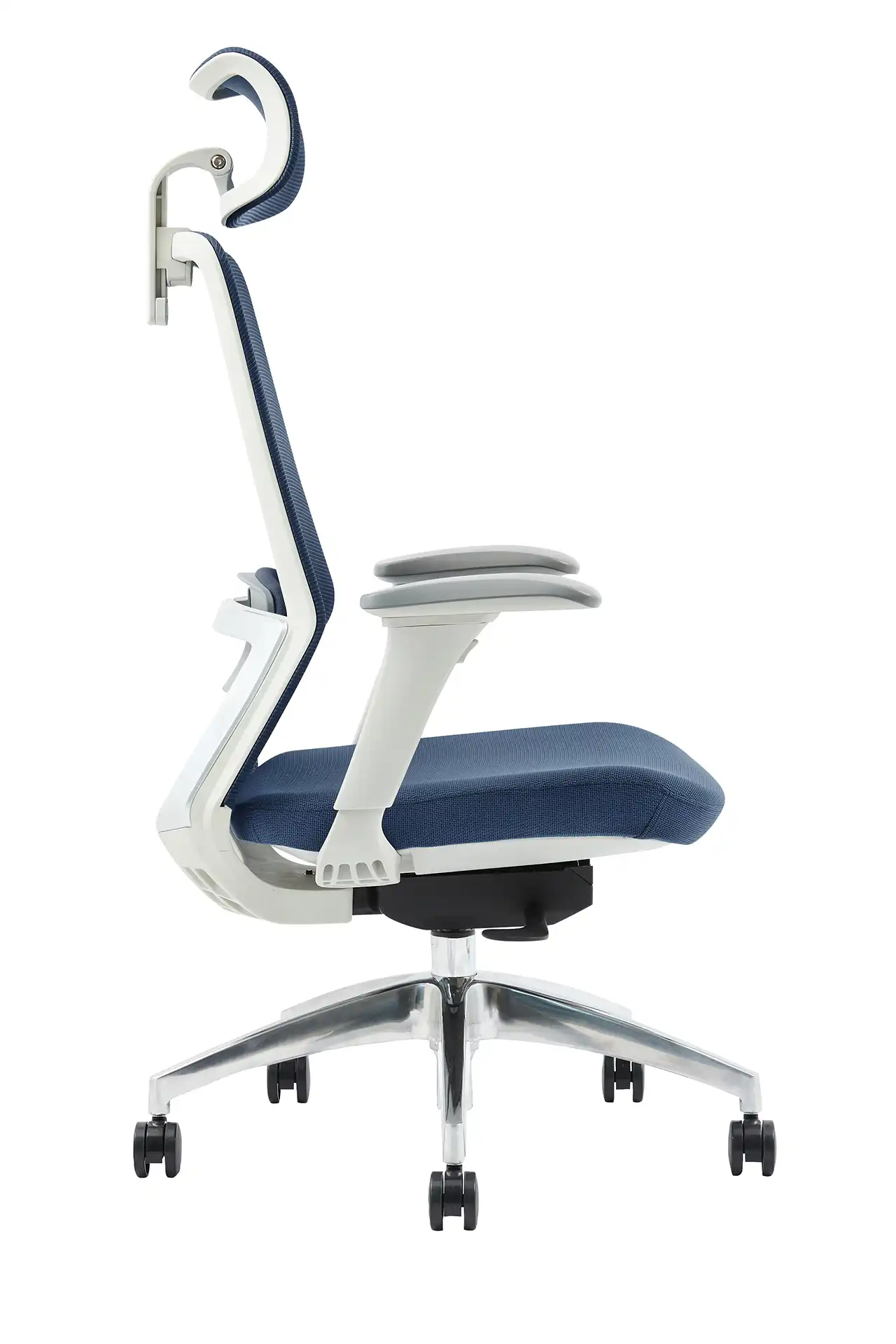 Photo du produit FAUTEUIL POLAR SYNCH CORPS GR/CLAIR, ASS ET DOSS BLEU, PIEDS ALU