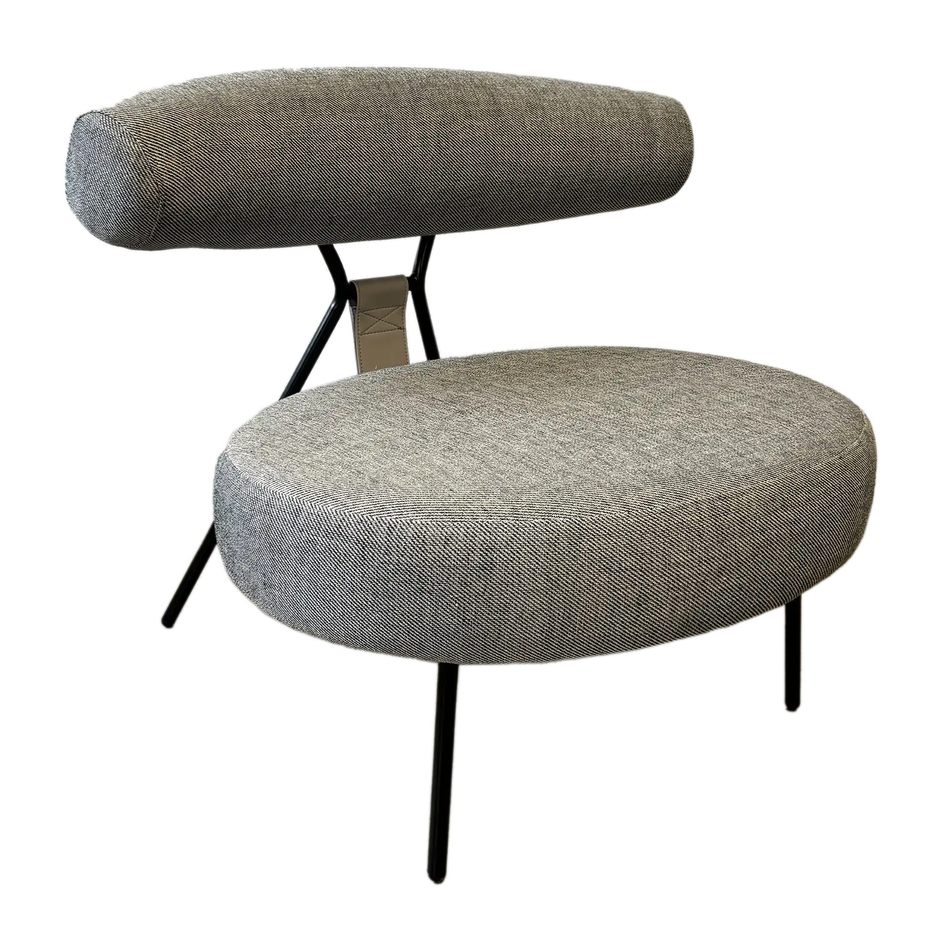 Photo de la collection TEDDY