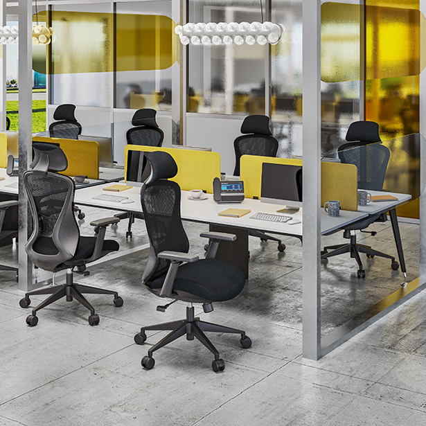 Photo de la collection DESIGNER