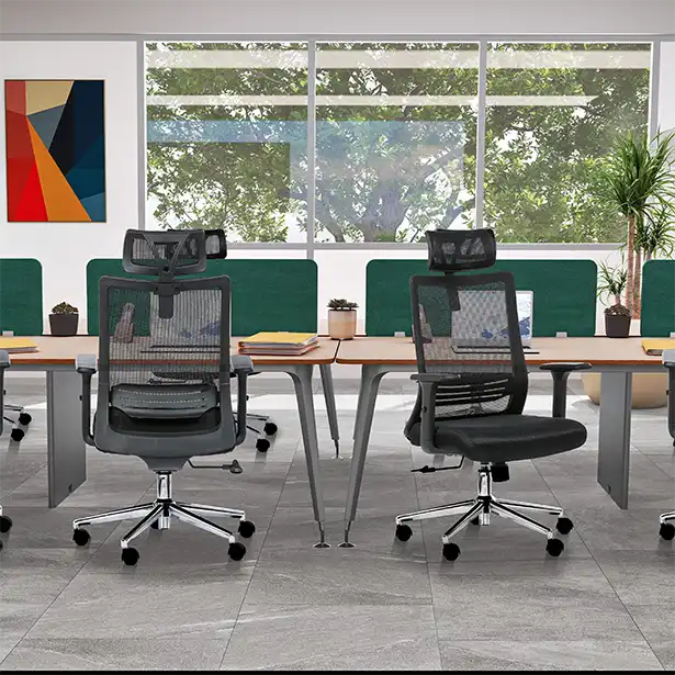 Photo de la collection TAOS